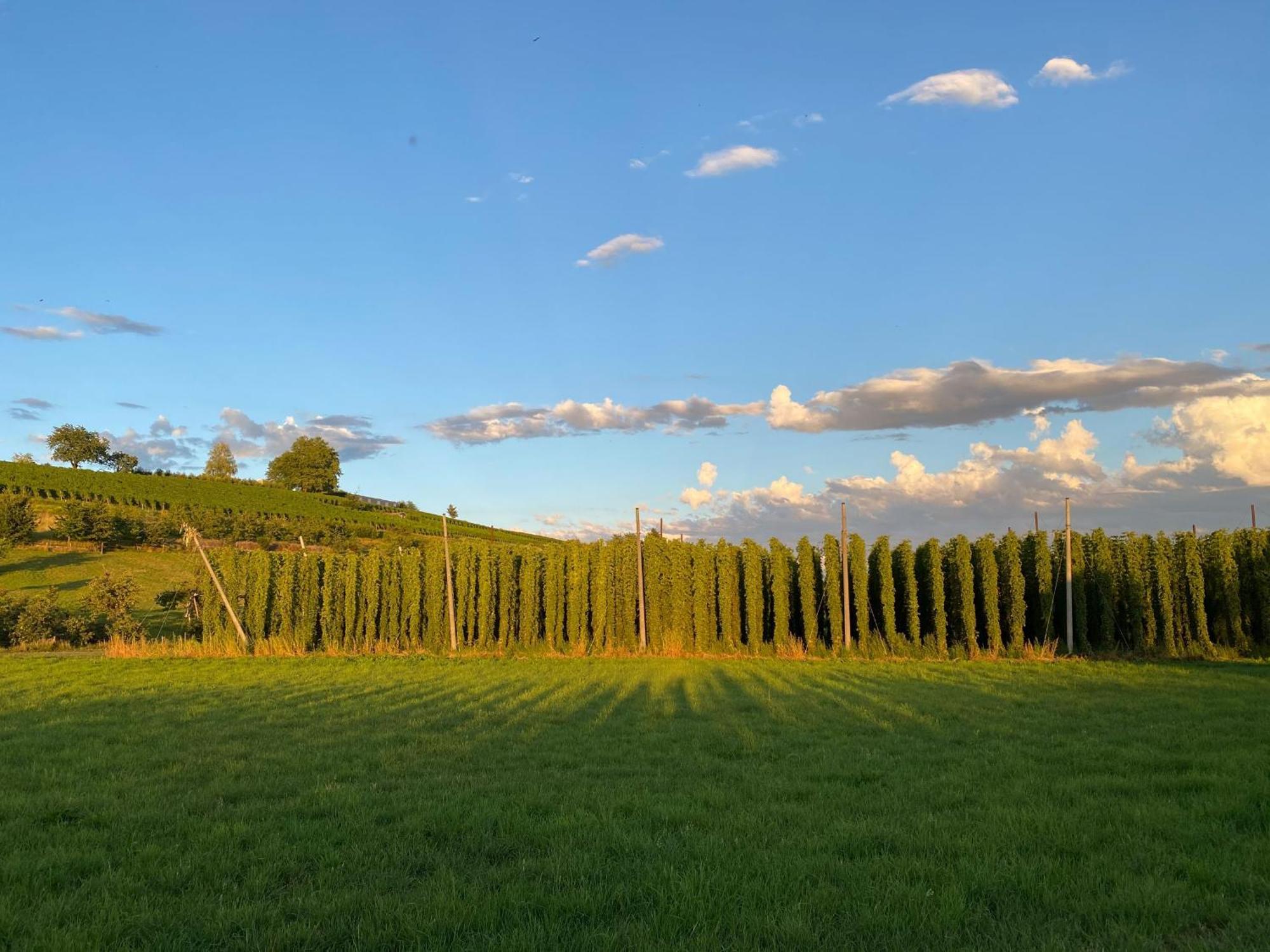 Beim Dorfbach - Die Hofchalets Kressbronn am Bodensee Exteriér fotografie